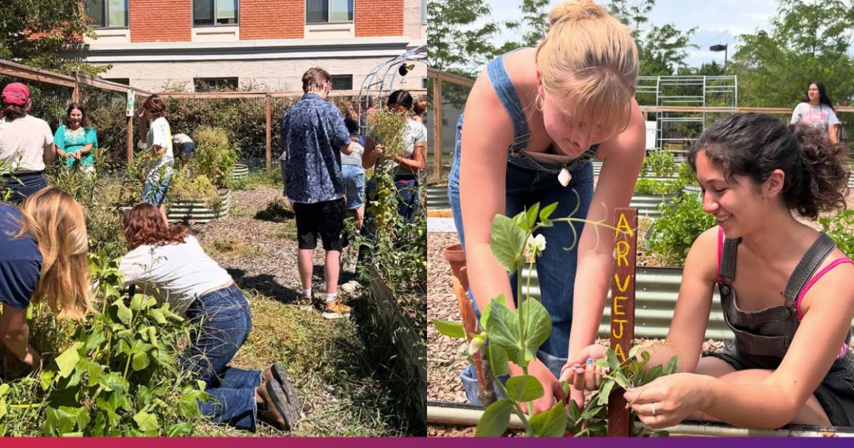 Students Working in the AU Community Garden