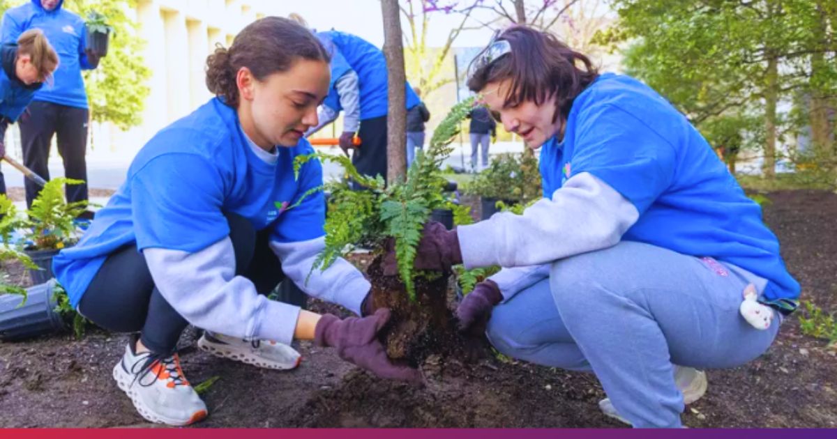 Two Student Athletes Placing a Plant in Soil during American University's 2025 Campus Beautification Day