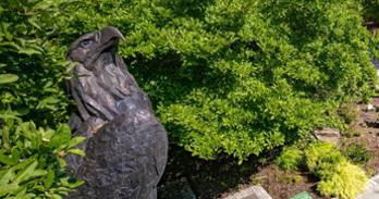 The Eagle statue on campus surrounded by green trees.
