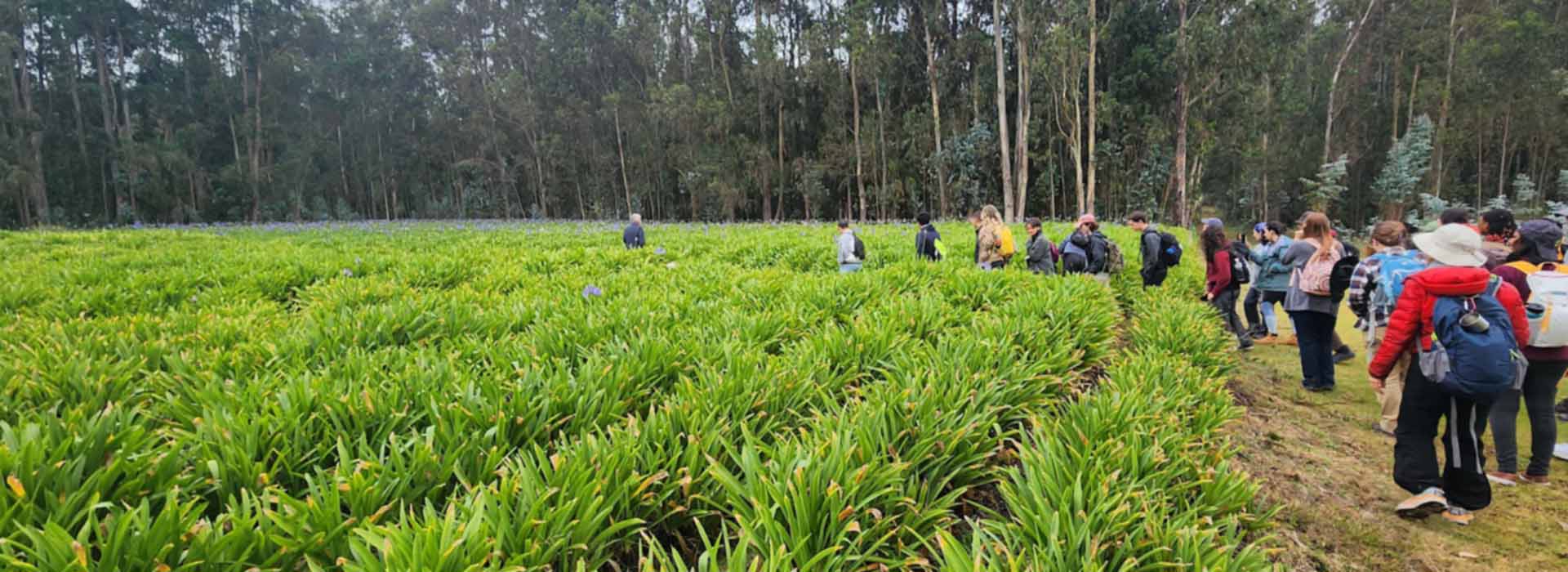 Students visit a flower farm in Ecuador