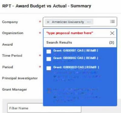 Workday interface showing basic form for grants with subawards.