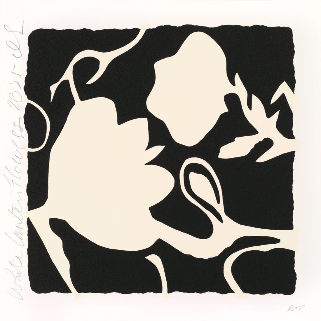 Donald Sultan, White Lantern Flowers, 2025. Silkscreen in colors with enamel inks and tar-like texture of black and white silhouette flowers