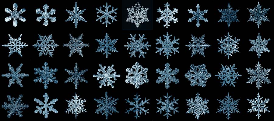 Grid of magnified snowflakes
