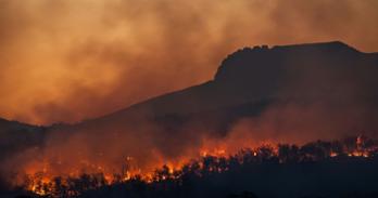 Wildfire in forest; smoky sky.