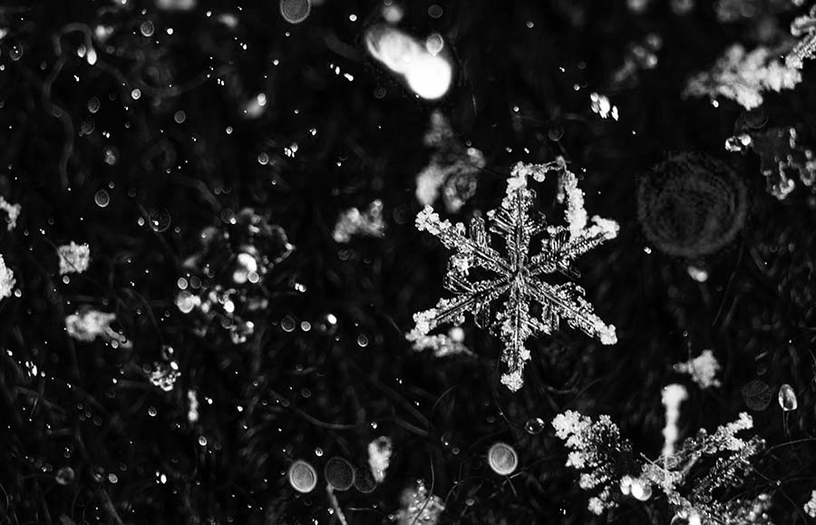 Magnified snowflake