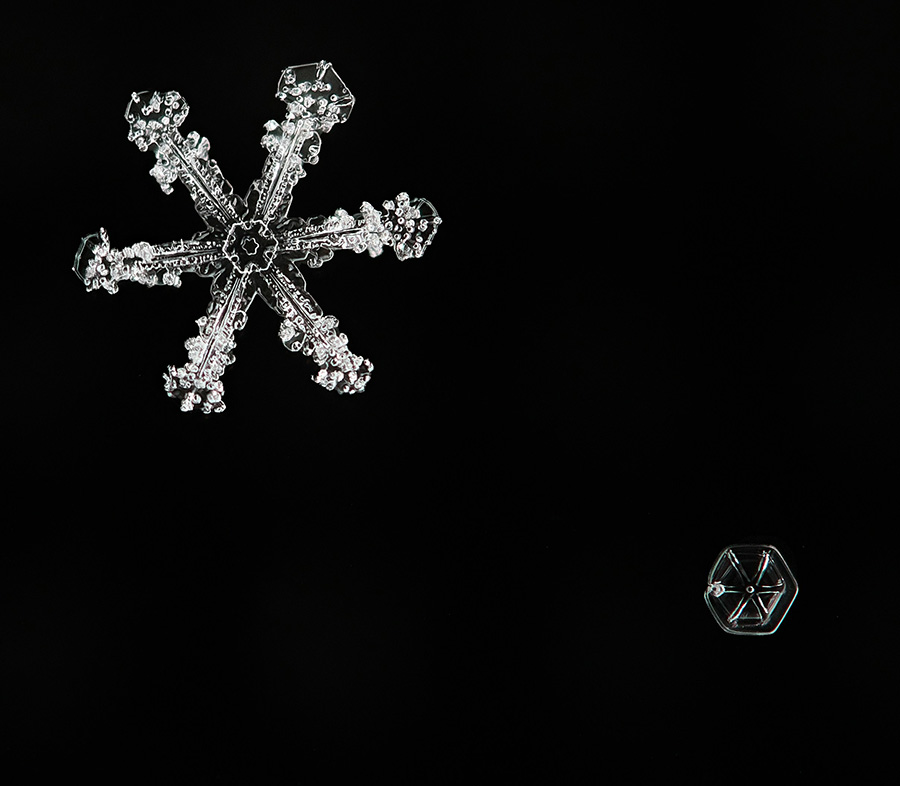 Small and large snowflake magnified