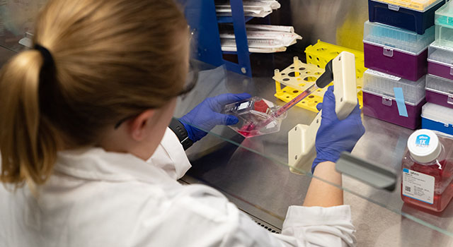 An AU premed student wearing protective gear works intently in a lab.