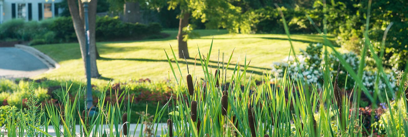 Plants on campus