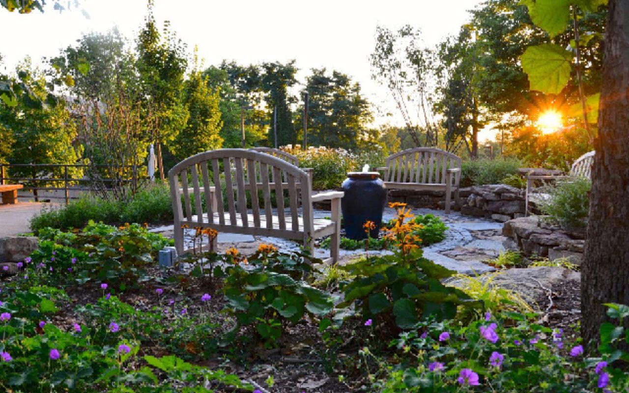 Flowers and a bench on campus