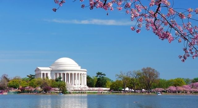 Jefferson Memorial with cherry blossoms