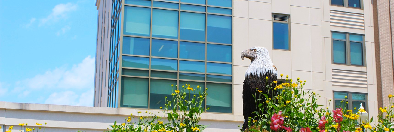 East Campus wooden Clawed Statue in front of Federal Hall Mobile Version