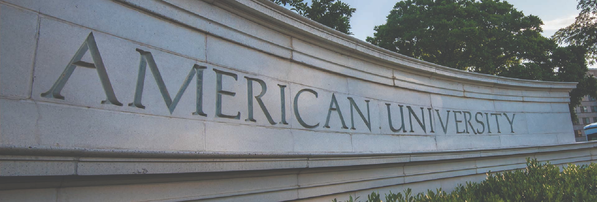 American University