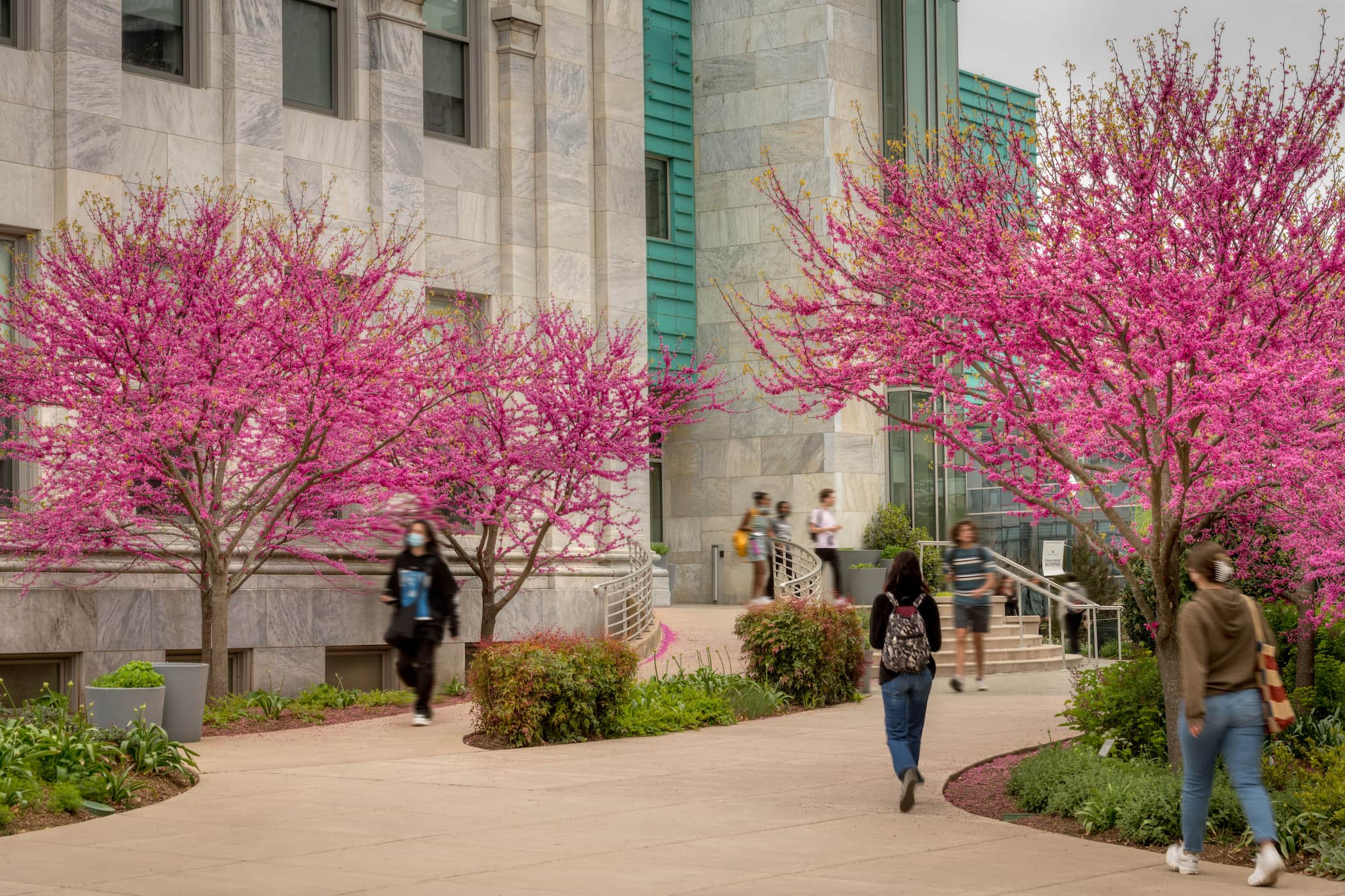 Students walking on campus