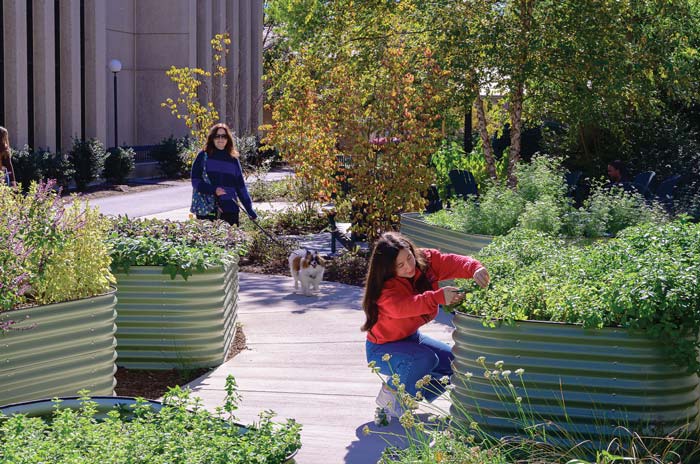 AU community members enjoy the Companion Garden