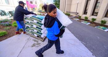 An AU community member carries mulch. Photo by Jeff Watts.
