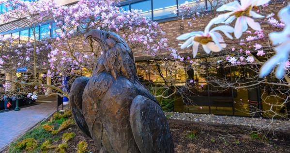 Photo by Jeff Watts.