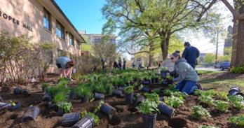 Campus Beautification Day