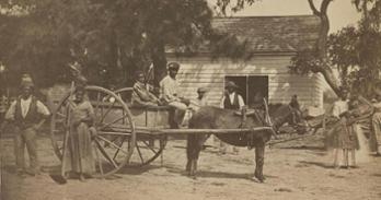 Negro slaves 1862 Edisto Island, S.C. (plantation of James Hopkinson)
