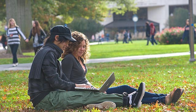 Students using laptops on the Quad