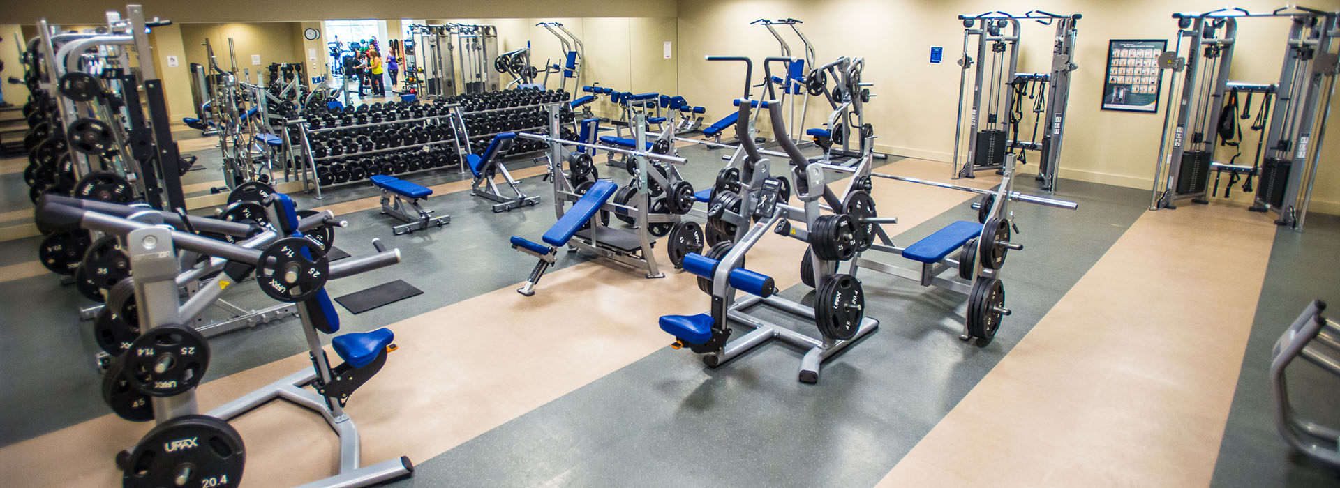 Cassell Fitness Center Strength Equipment