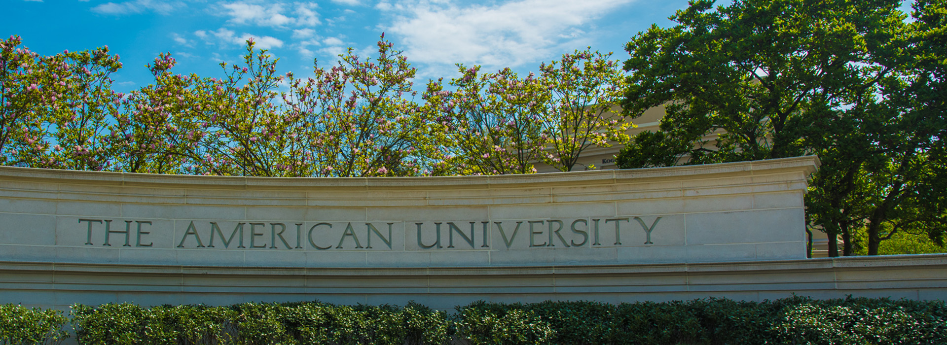 Main Gate of American University