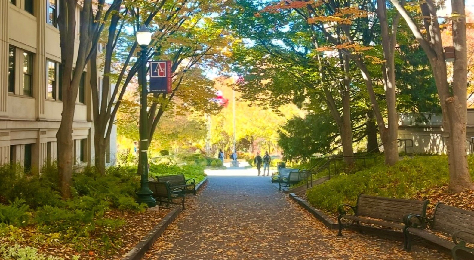 2025 Sine Institute Poll-18-