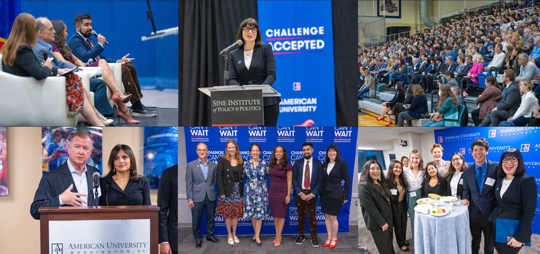 Collage of Sine's 5th Anniversary celebration and panel discussion.