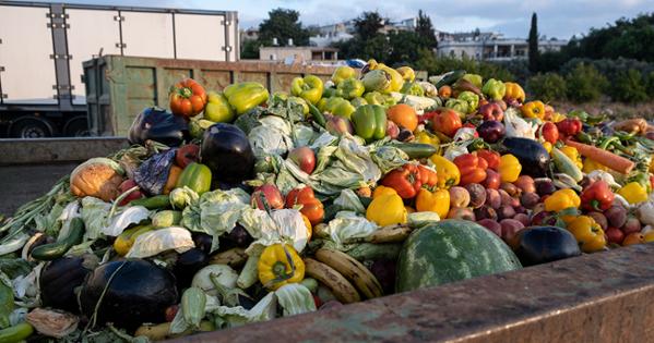 Fruits and vegetables piled high in a large waste container