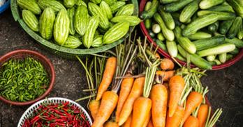 Baskets of carrots, cucumbers, and peppers in a garden