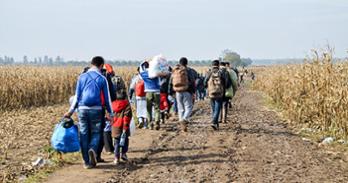 Refugees and migrants walking on fields. Group of refugees from Syria, Iraq and Afghanistan on their way to European union. Balkan route.