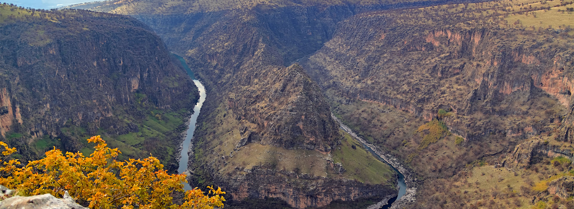Dore Canyon in Kurdistan from an aerial view. A bush with yellow leaves frames the massive landscape in the foreground.