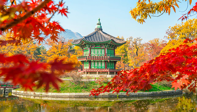 Gyeongbokgung Palace during autumn with bright red and yellow leaves surrounding the building