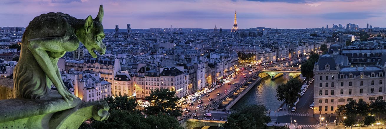 gargoyle overlooking the city of Paris at night with the Seine River and Eiffel Tower lit up