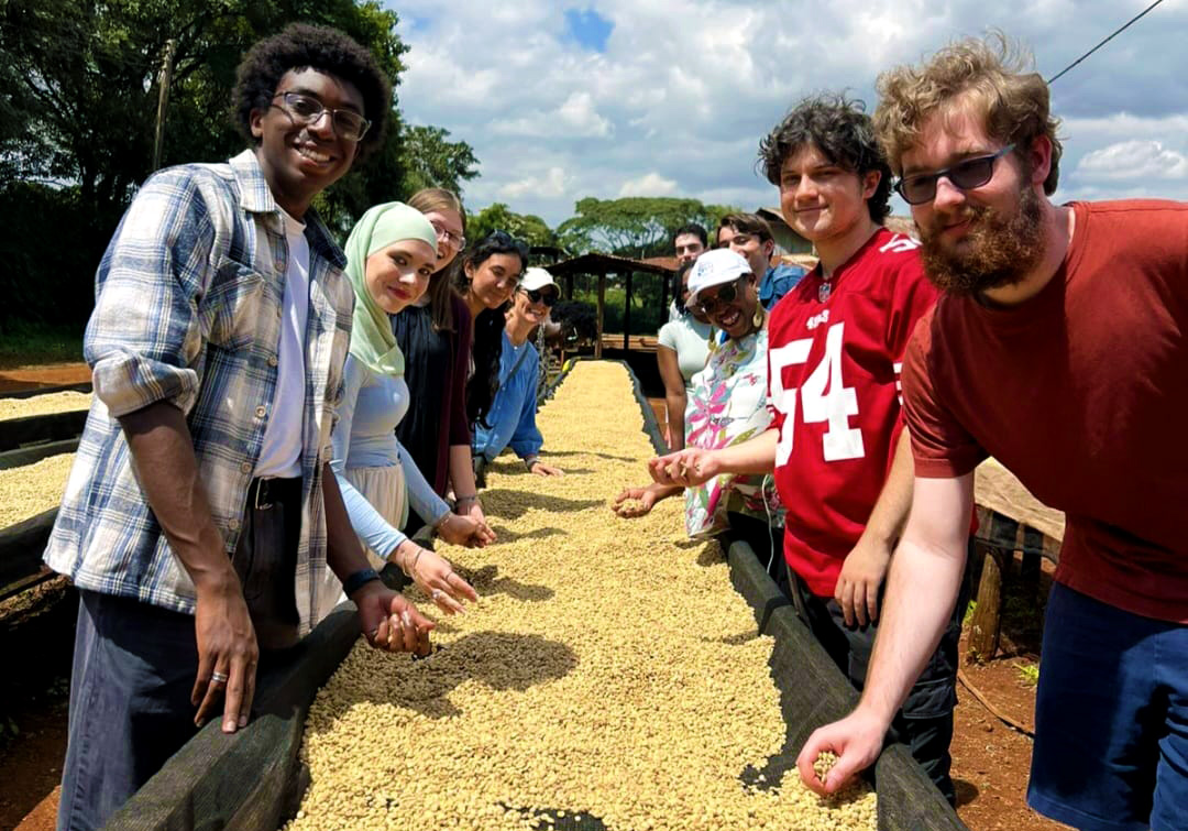 AU students sift through coffee beans in Nairobi.