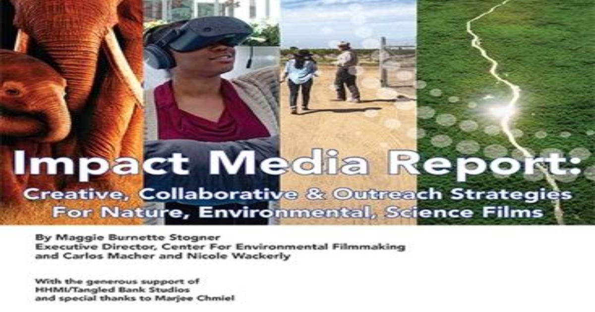 impact media report 2020