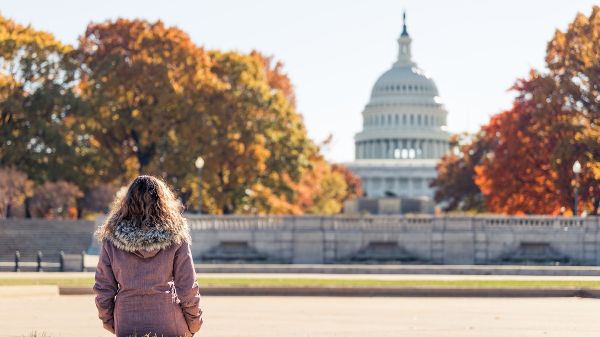 Person looking at capitol building