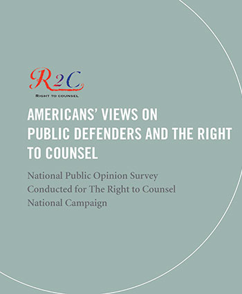 National Public Opinion Survey cover