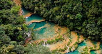 rainforest waterfall