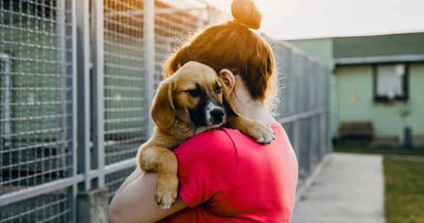 person holding puppy