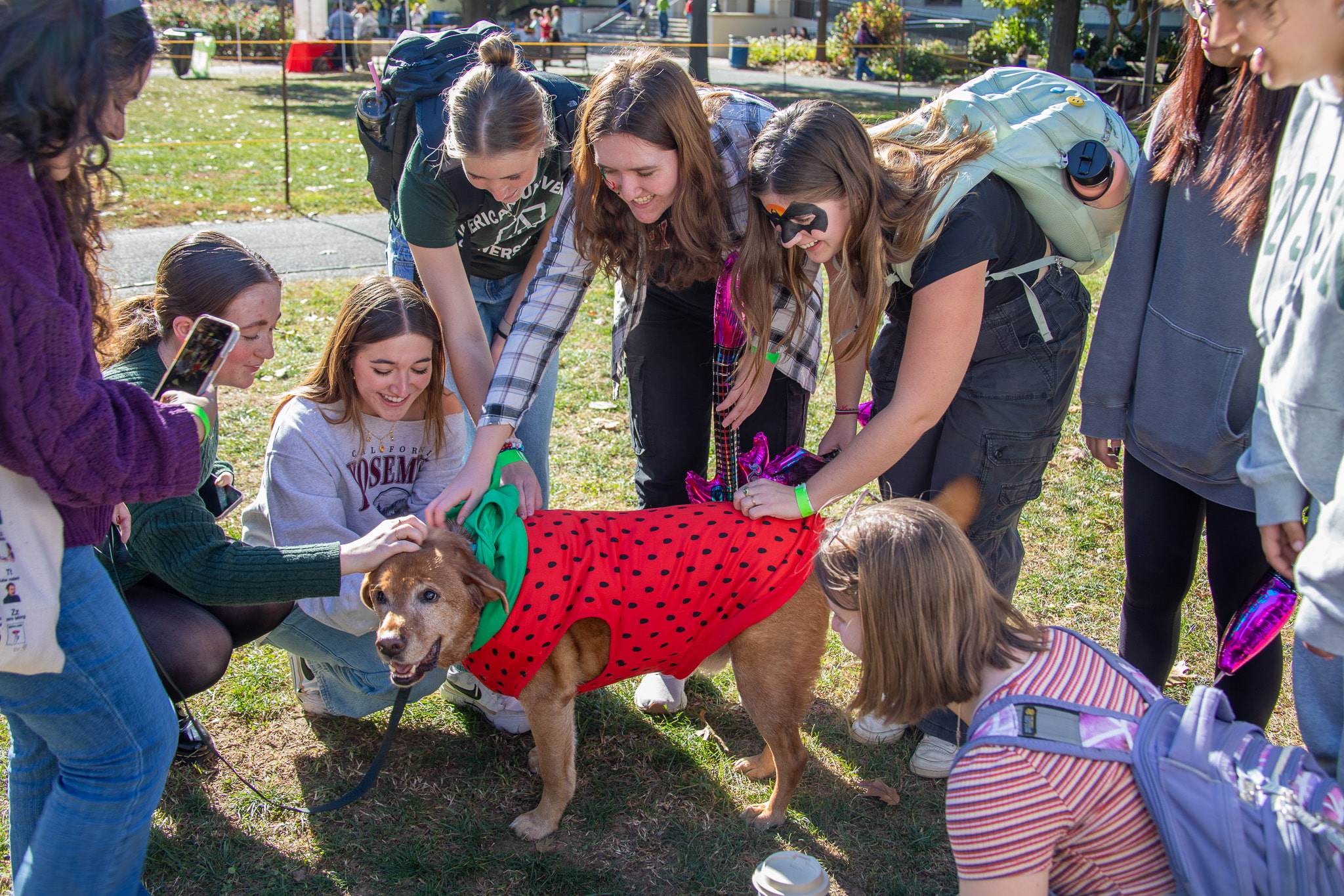 A group of students stand around a dog wearing a strawberry costume. Some have halloween themed face paint as they pet the dog with large smiles.