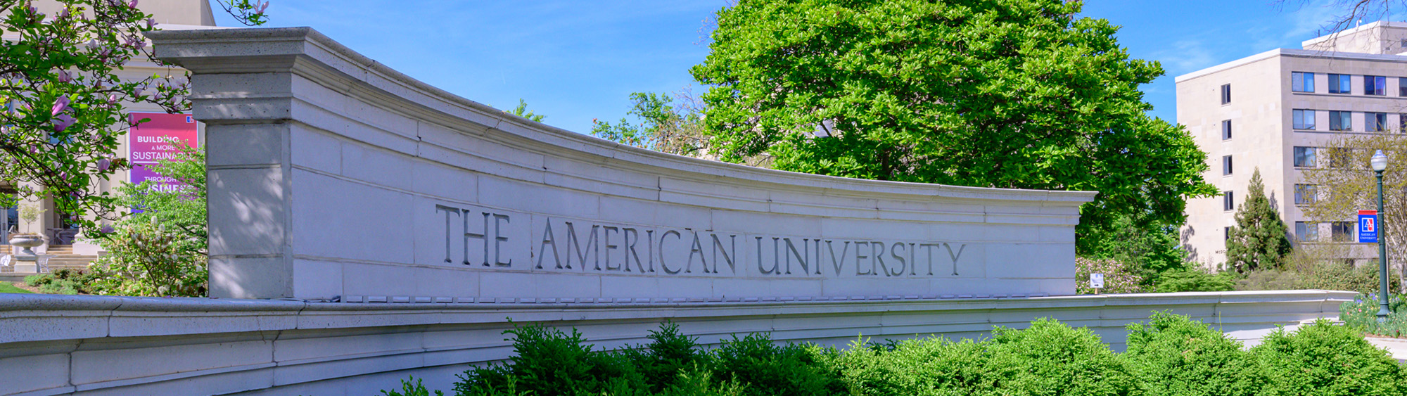 American University Entrance